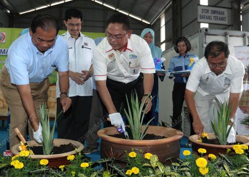 DATUK SERI NOH OMAR