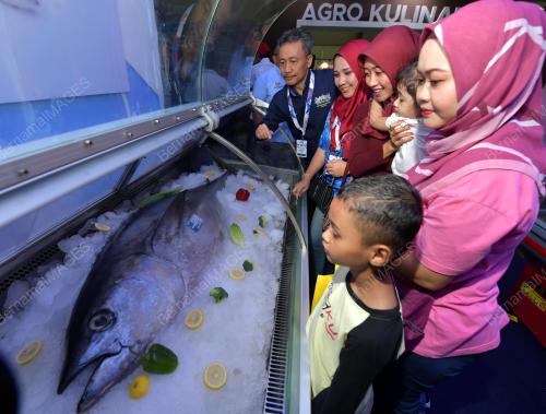 JB04_28112019_PAVILION_MYSEAFOOD
