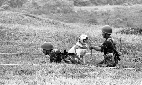 JB04_29012015_GENERAL_JEPUN