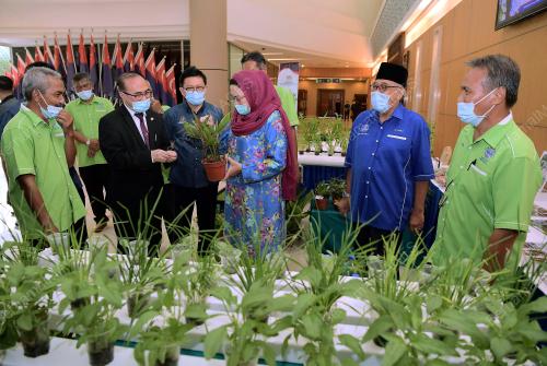 DATUK HALIMAH MOHAMED SADIQUE