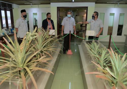 DATUK DR SAHRUDDIN JAMAL
