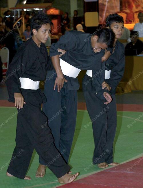 PENCAK SILAT