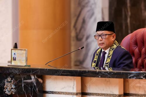 DATUK DR MOHD PUAD ZARKASHI