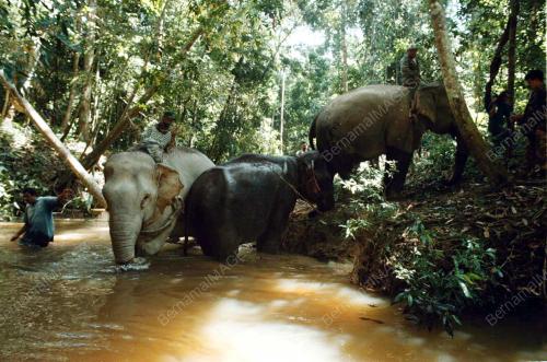 JB05-17_05_2000_SEBERANG_SUNGAI_07012016