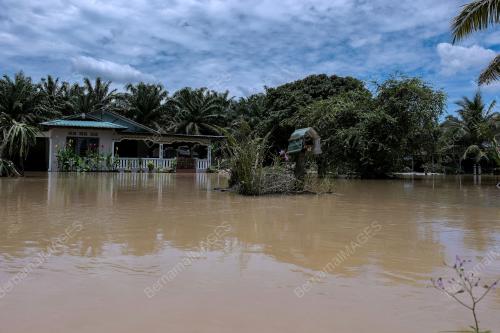 BANJIR PEKAN NENAS
