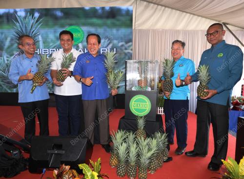 DATUK SERI AHMAD MASLAN