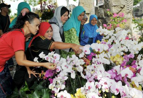JB05_05012012_ORKID_JOHOR