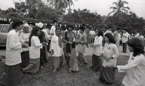 MUSA HITAM