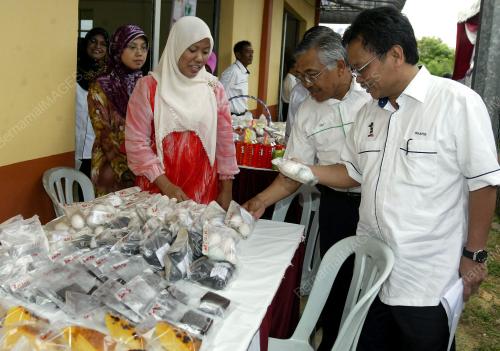 MOHD SHAFIE APDAL