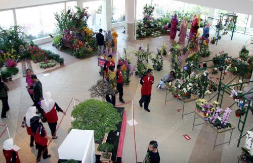 PAMERAN ORKID & BONSAI