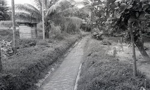 MANGSA BANJIR