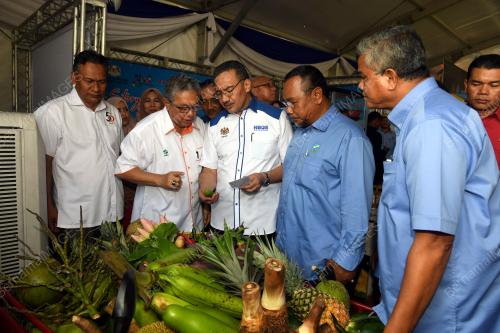 JB05_11022018_FIESTA_NBOS