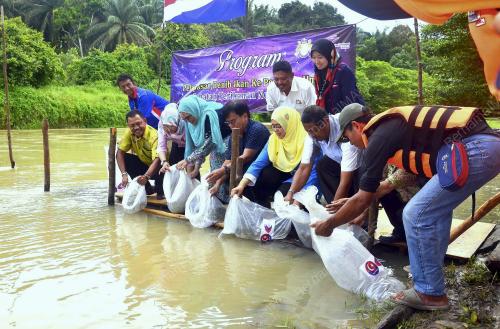 JB05_13092017_BENIH_IKAN
