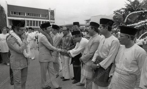 MUSA HITAM