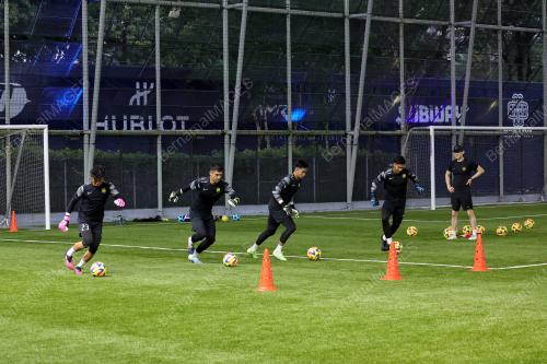 HARIMAU_LATIHAN