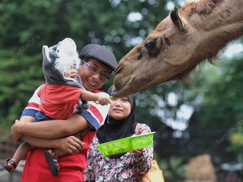 JB05_25122014_ZOO_JOHOR