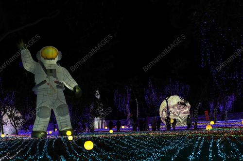 LUNA LIGHTS WONDERLAND