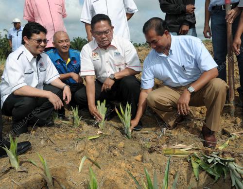DATUK SERI NOH OMAR