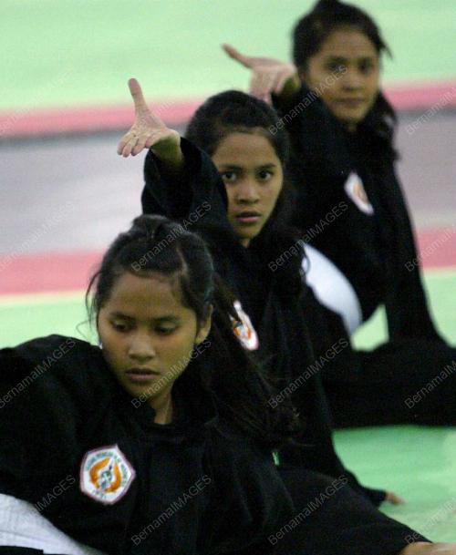 PENCAK SILAT