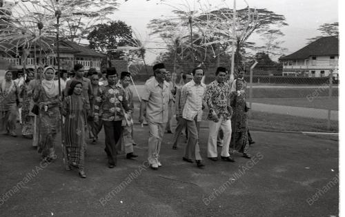 MUSA HITAM