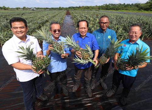 DATUK SERI AHMAD MASLAN