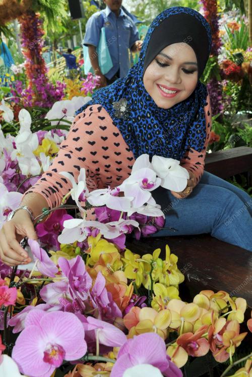 JB06_05012012_ORKID_JOHOR