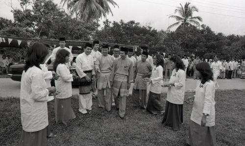 MUSA HITAM