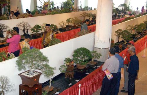 PAMERAN ORKID & BONSAI