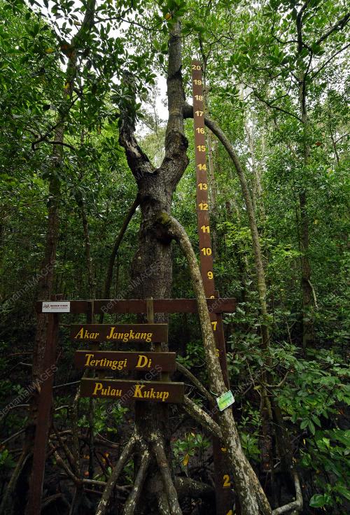 JB06_06112019_PULAU_KUKUP