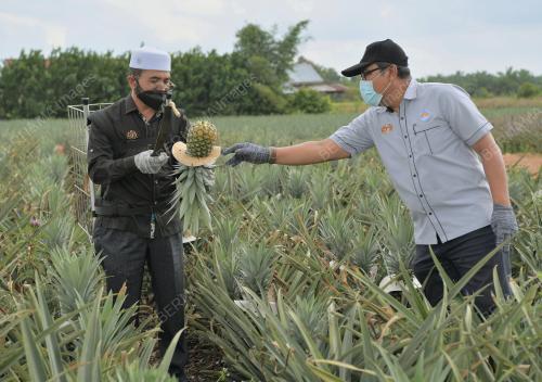 DATUK DR SAHRUDDIN JAMAL