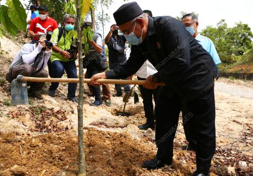 DATUK SERI TUAN IBRAHIM TUAN MAN