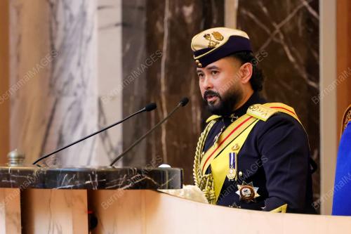 TUNKU MAHKOTA ISMAIL 