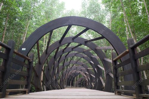 TAMAN NEGARA JOHOR PULAU KUKUP