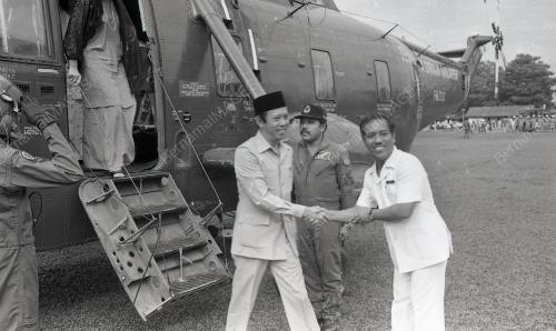MUSA HITAM