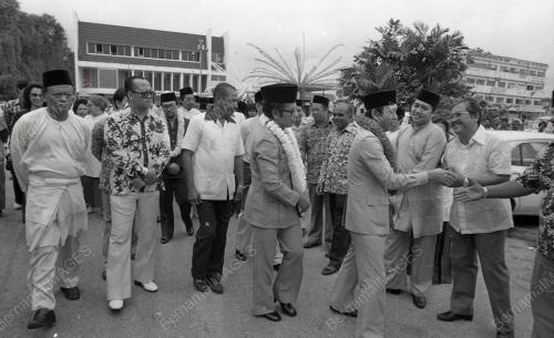 MUSA HITAM