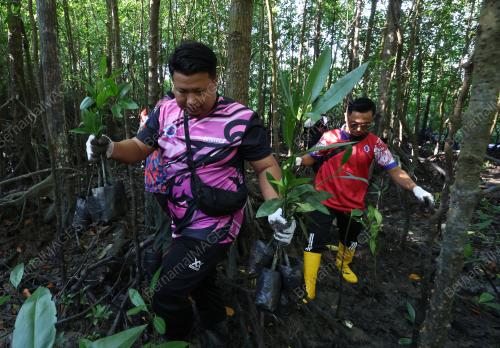 PERPADUAN KAYUHAN HIJAU