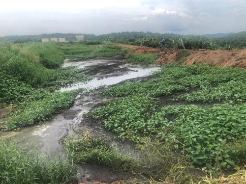 PENCEMARAN SUNGAI