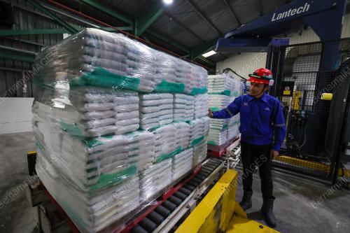 MSM SUGAR REFINERY