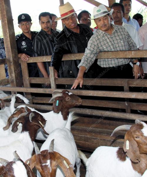 MUHYIDDIN MOHD YASSIN