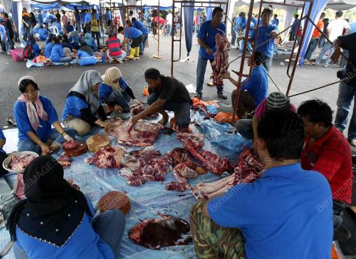 SAMBUTAN AIDILADHA