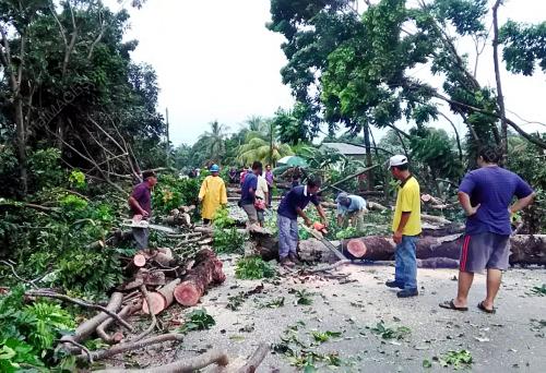 JB06_21092016_RIBUT