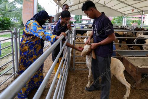 PERSIAPAN HARI RAYA QURBAN