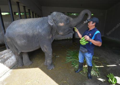 ZOO JOHOR