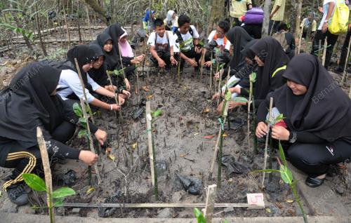 JB07_02022012_POKOK_BAKAU