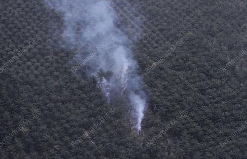TINJAUAN UDARA CUACA KERING DAN TERBAKAR
