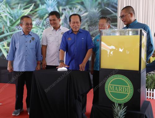 DATUK SERI AHMAD MASLAN