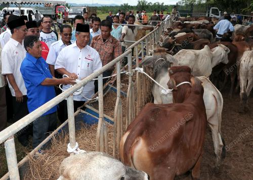 TAN SRI MUHYIDDIN YASSIN