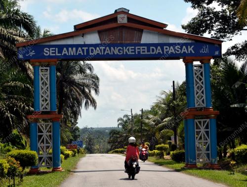 JB07_06012016_FELDA_PASAK