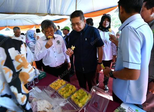 JB07_07042019_MAS_BN201904045592