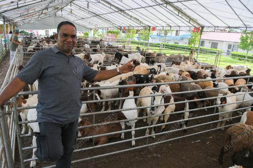 PERSIAPAN HARI RAYA QURBAN